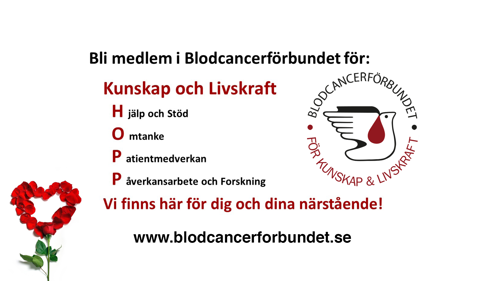 HOPP