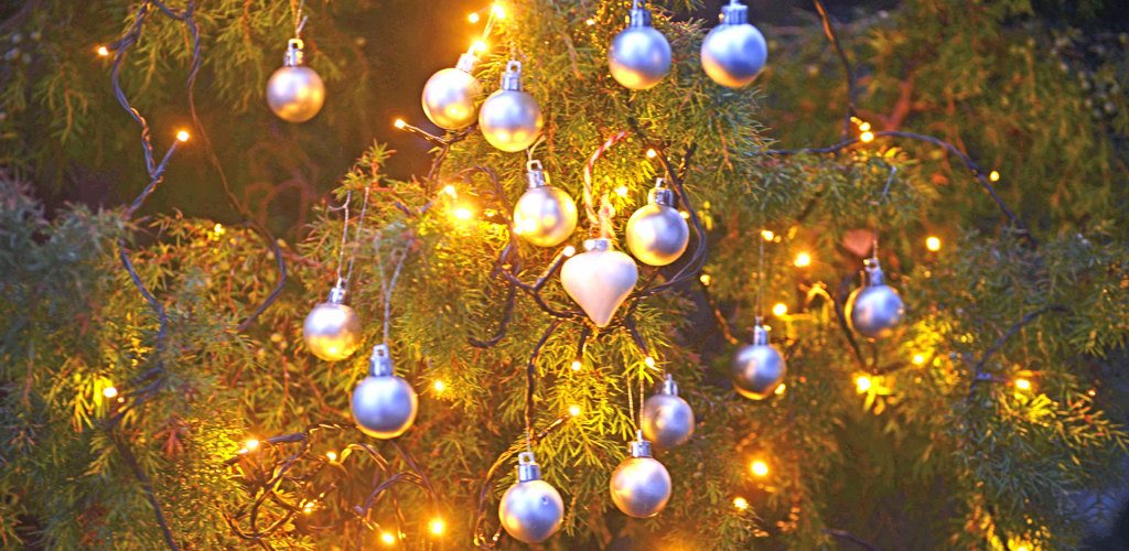 15 Julgranskulor I En En Fhsj Ny Forening Valkomnad 16X9 DSC9547