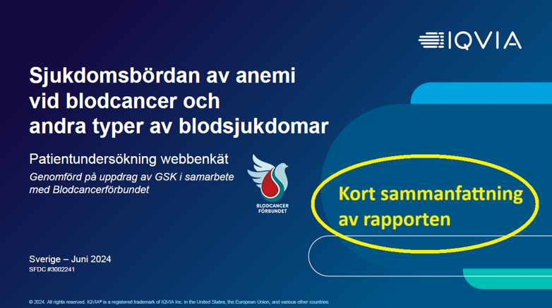 anemiundersökningen sammanfattning 2024 rapportomslag