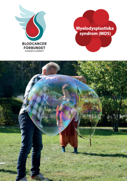 MDS-broschyrens omslag 2025